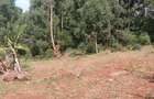 0.25 ac Land at Ruaka - 5