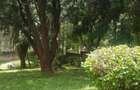 1.32 ac Residential Land in Riara Road - 3