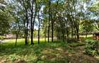 4 ac Commercial Land at Mirema Drive - 8