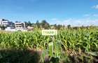 1 ac Land in Kiserian - 1