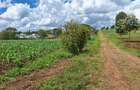 1 ac Residential Land at Tigoni - 1