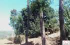 15 ac Land at Touching Nanyuki River - 2