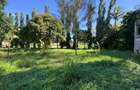 2 ac Land at Mtwapa - Animo - 14