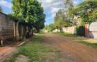4 Bed House with En Suite at Olekasasi - 19