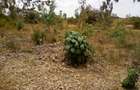 Land at Makuyu - 11