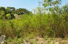Land at Diani Beach Road - 12