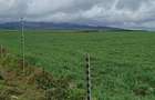 314 ac Land at Timau - 23