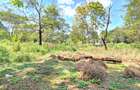 Residential Land at Shanzu Road - 40