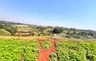 Land in Redhill - 7