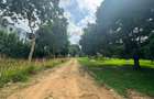 1.3 ac Residential Land at Kanamai - 10