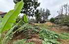 0.25 ac Land at Stream Drive - 4