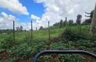0.75 ac Commercial Land at Thindigua - 3