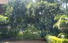 6 Bed House at Rosslyn Lone Tree - 6