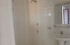 1 Bed Apartment with Borehole in Lavington - 10