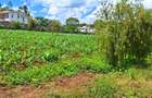 1 ac Residential Land at Tigoni - 15
