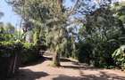Furnished 2 Bed Apartment with Backup Generator in Kitisuru - 4