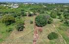 0.045 ha Land at Diani Airport - 1