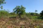3.1 ac Land at Off Diani Link Rd - 6