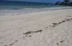 Land at Diani - 5