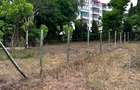 3,200 ft² Land at Mtwapa - 6