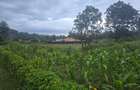 1 ac Land at Gicharani - 5
