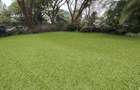 4 Bed House with En Suite at Spring Valley - 15