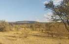 31 ac Land at Sekenani - 3