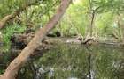 7 ac Land in Watamu - 7