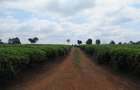 Land at Kiambu Rd - 9