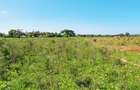 Land at Vipingo - 14