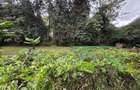 Land in Ngong Road - 5