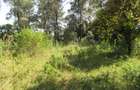 9 ac Land at Karen - 9