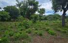 4.5 ac Land at Mtwapa - 19