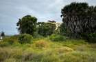 5.2 ac Land at Nyali Centre - 10