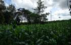 Land at Kirawa Road - 3