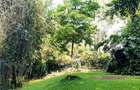 4 Bed Townhouse with En Suite at Kileleshwa - 7