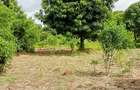 Land at Mtwapa - 16