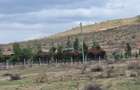 505 m² Residential Land at Mutongoni Road - 2