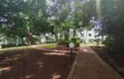 3 Bed Apartment with Backup Generator in Muthaiga - 11