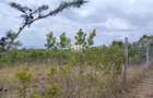 1 ac Land in Nanyuki - 4