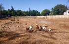 Land in Kikambala - 3