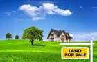 0.325 ac Land in Parklands - 1