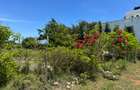 0.25 ac Land in Vipingo - 3