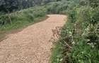 1.1 ac Land in Tigoni - 3