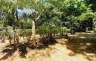 Land in Mtwapa - 7