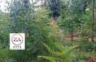0.125 ac Land at Kasphat Estate - 9