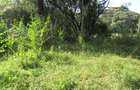 9 ac Land at Karen - 10