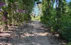 2 ac Land at Mtwapa - Animo - 9