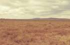 1 ac Land at Konza North - 1