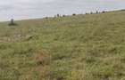 Land in Bisil - 1